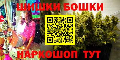 индика Будённовск