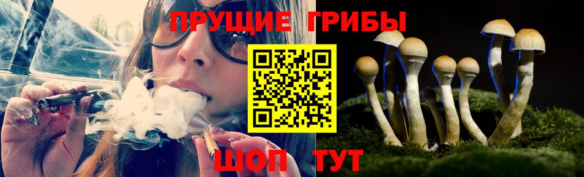 Псилоцибиновые грибы прущие грибы  Вход с VPN  Ханты-Мансийск 